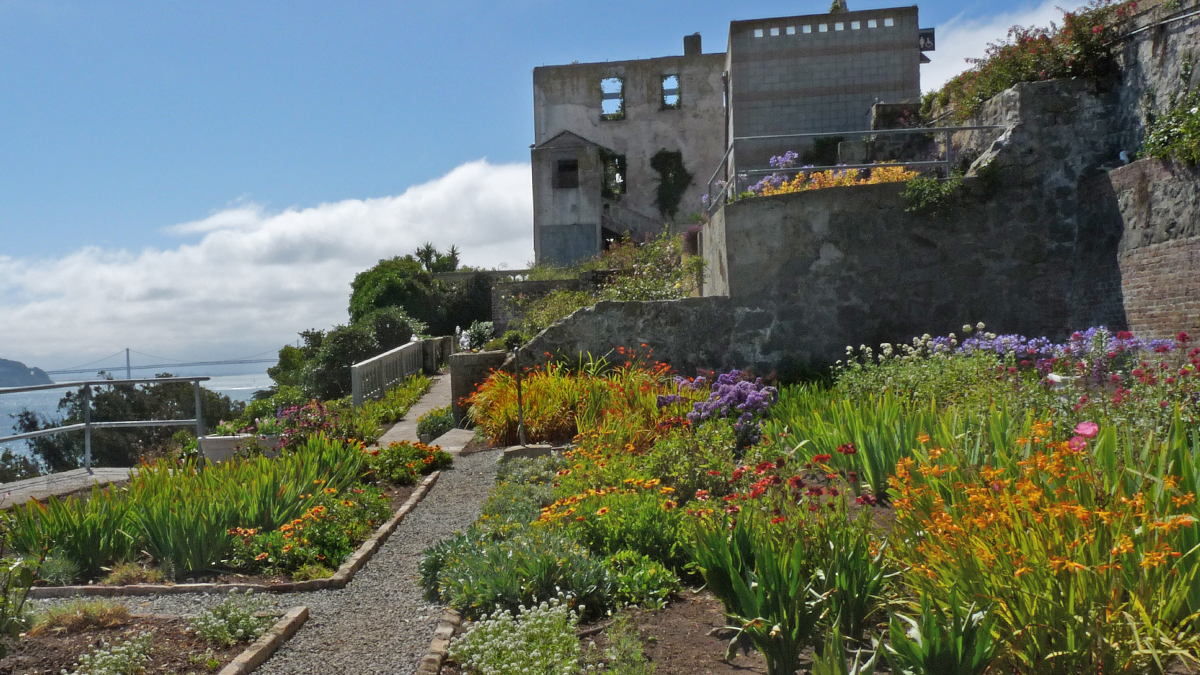 Alcatraz Island | TCLF